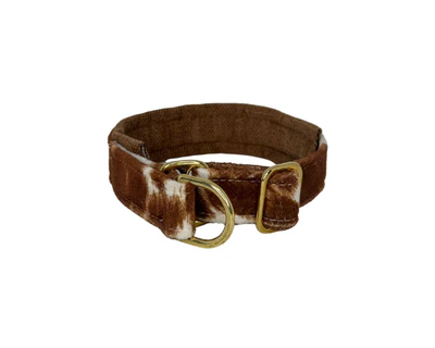 Designer Slip Collar